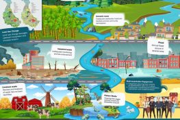 Ilustrasi hasil BPK yang meraih penghargaan dari INTOSAI WGEA